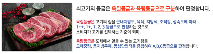 도체등급1.png