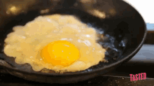food-egg.gif