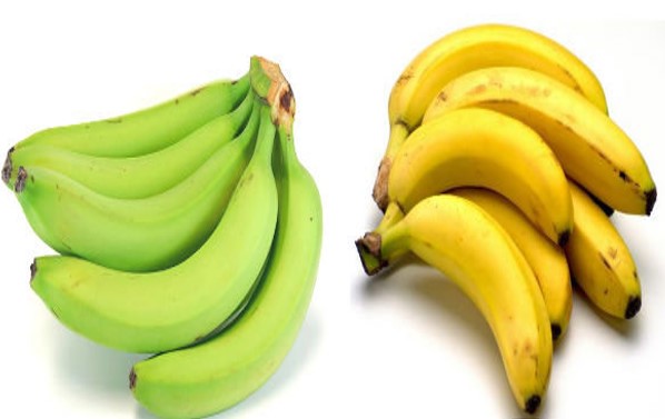 적당히 덜 익은 바나나에는 저항성 전분 함량이 높다.jpg