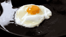계란 프라이… 조리법에 따라 독이 될 수 있다.gif