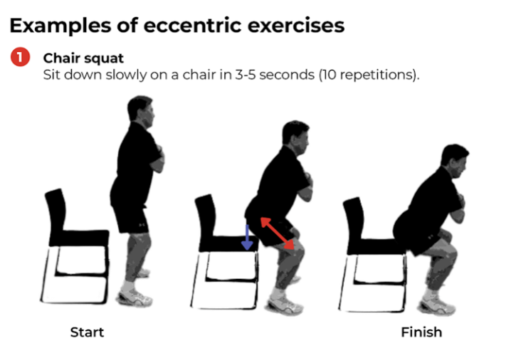 신장성 운동(eccentric exercise).png