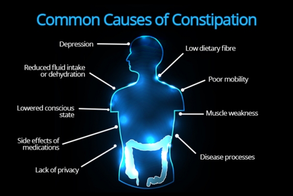 Common Causes of Constipation.jpg