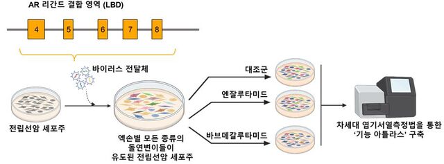 약물 반응을 예측하는 ‘기능지도’. 연세대학교 세브란스 병원.jpg