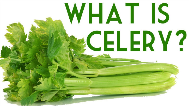 What is Celery.jpg