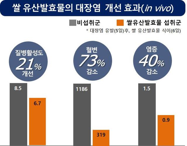 쌀 유산발효물의 대장염 개선 효과. 농진청.png