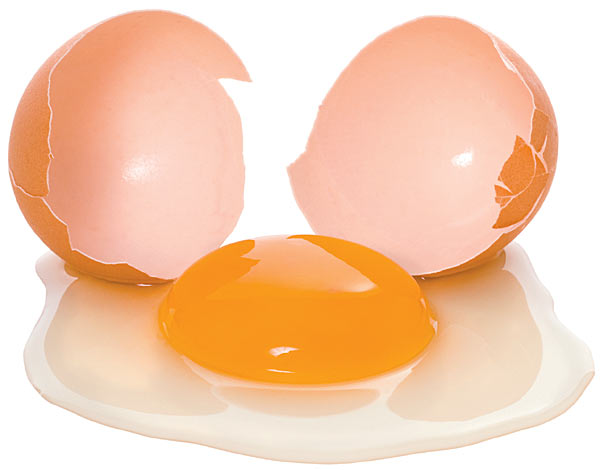 비타민 D 섭취에 기여도가 가장 큰 식품은 계란.jpg
