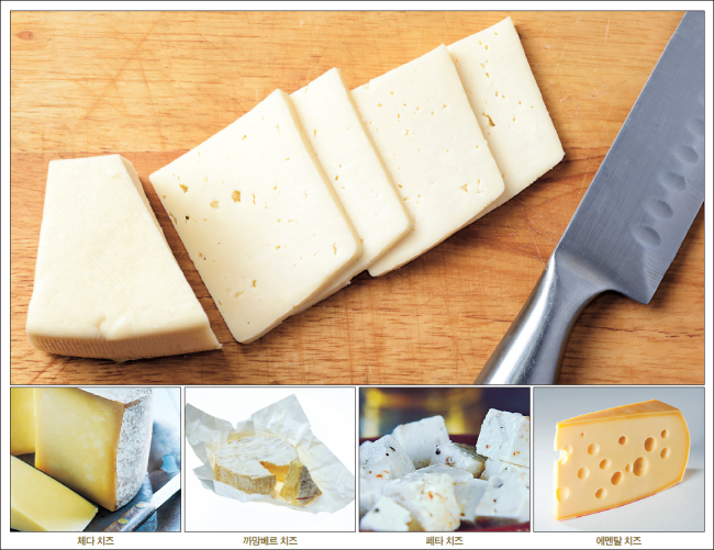 치즈.jpg
