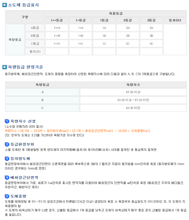 도체등급2.png