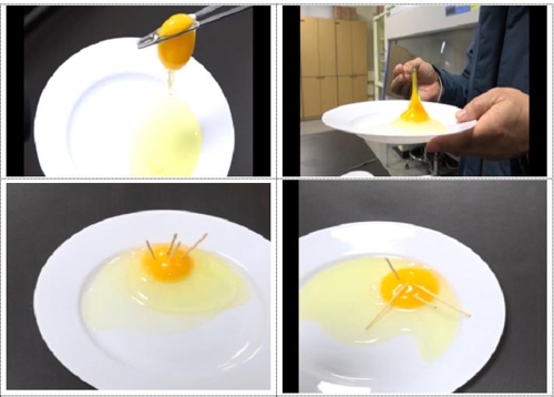 계란 신선도 비교.jpg