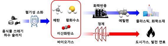KIST, 메탄가스에서 에틸렌 만드는 공정·촉매 개발.jpg