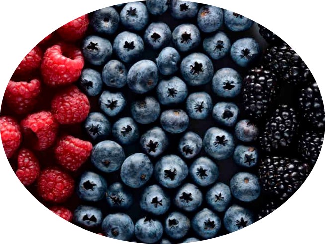 매일 먹는 과일은 어두운 색깔 계통의 과일이 좋다.jpg