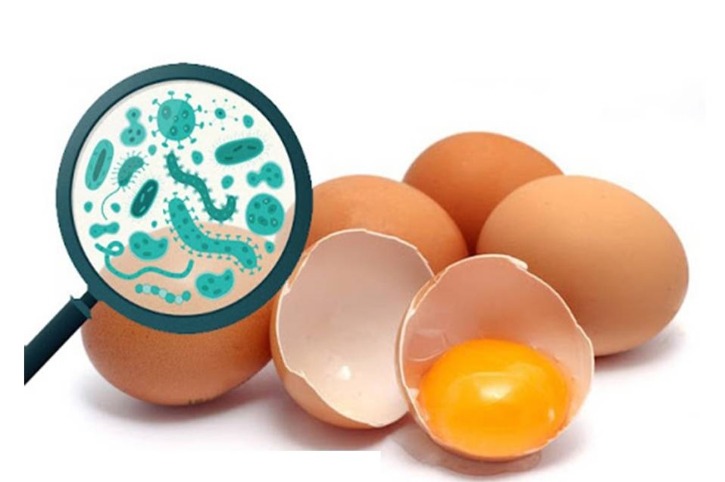 살모넬라 식중독 발생 주원인 식품, 달걀 등 난류와 그 가공 식품이 65%.jpg