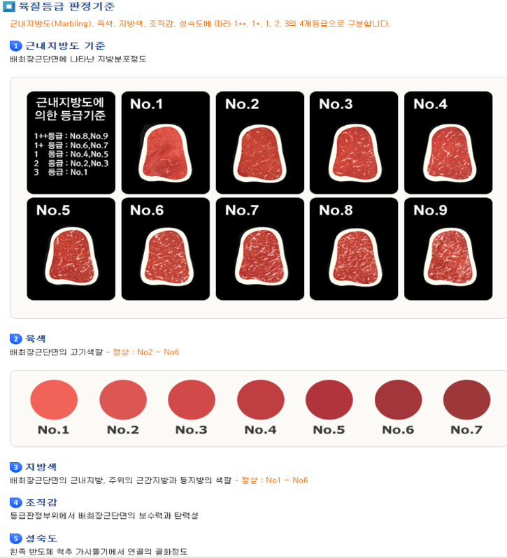 도체등급3.png