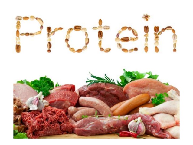 proteins.jpg