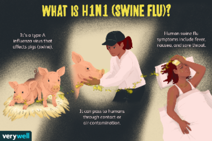 돼지독감 바이러스 변이체가 사람 간 감염으로 또 한 번 팬데믹을 일으킬 가능성은.png