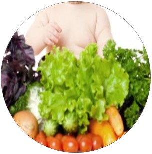 초등 입학 전 어린이가 식물성 식품 많이 먹으면 비만 위험 70% 이상 감소.jpg