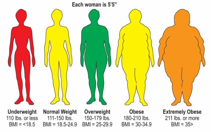 underweight & extremly obese.gif